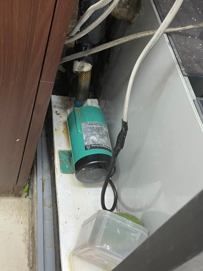 千葉県 活魚水槽 ポンプ交換1.png