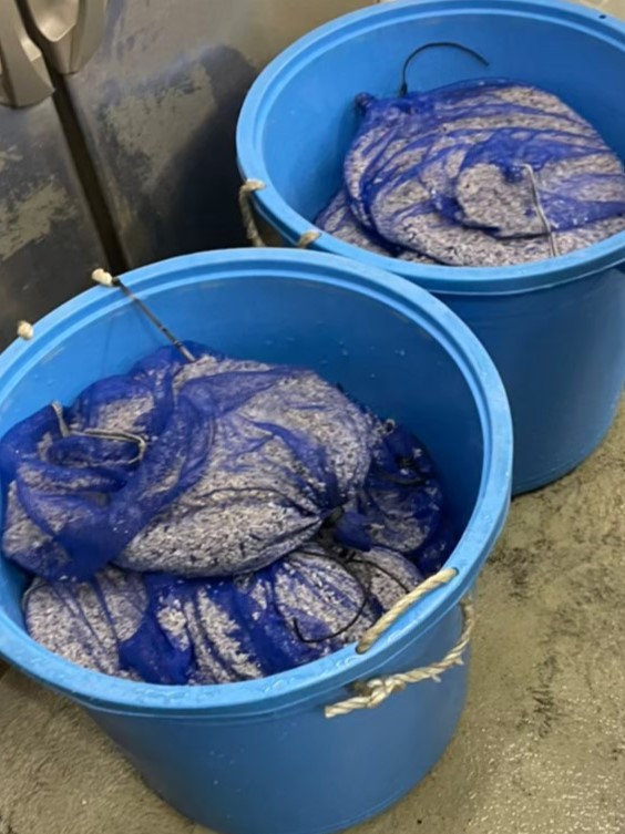 千葉県 活魚水槽 メンテナンス5.jpg
