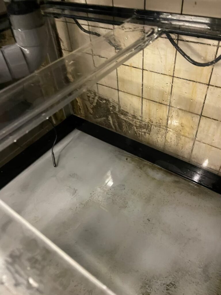 千葉県 活魚水槽 メンテナンス7.jpg