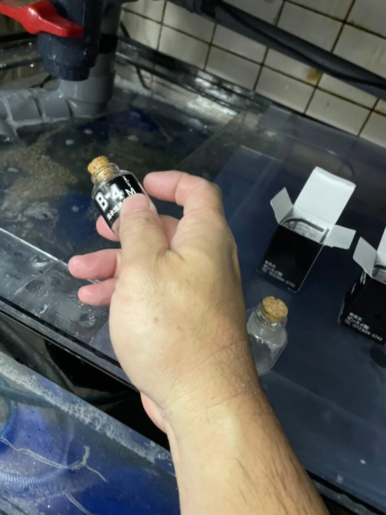 千葉県 活魚水槽 メンテナンス9.jpg