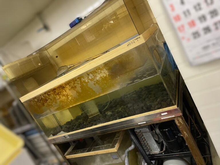 千葉県　活魚水槽　メンテナンスC1.jpg