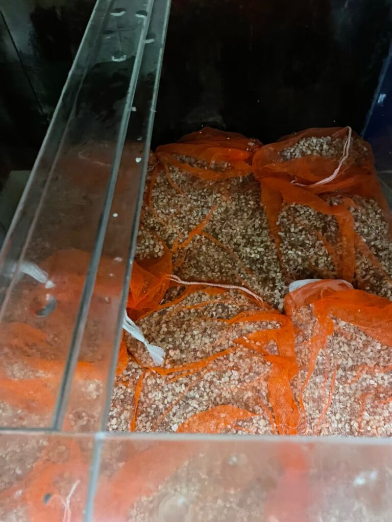 千葉県　活魚水槽　メンテナンスC10.jpg