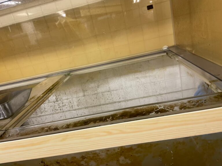 千葉県　活魚水槽　メンテナンスC2.jpg
