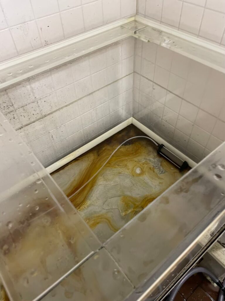 千葉県　活魚水槽　メンテナンスC3.jpg