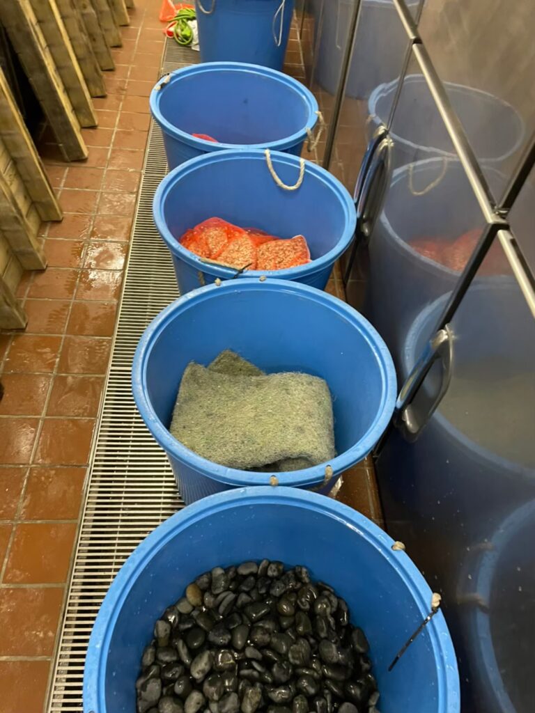 千葉県　活魚水槽　メンテナンスC7.jpg