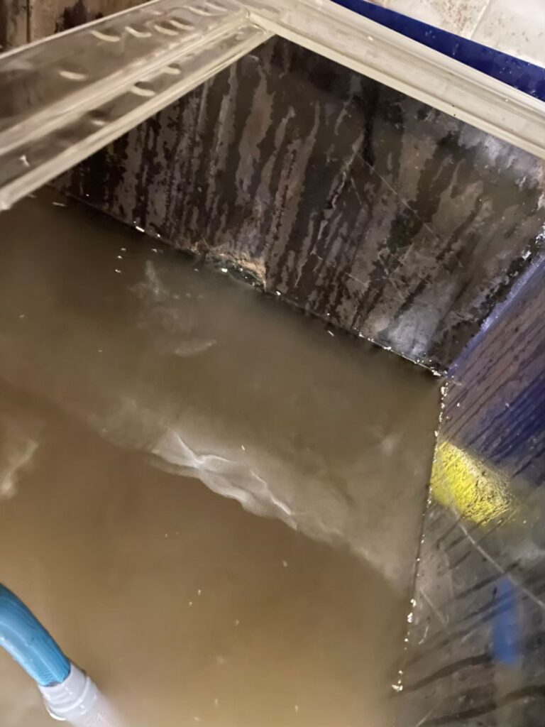 千葉県　活魚水槽　メンテナンスC8.jpg