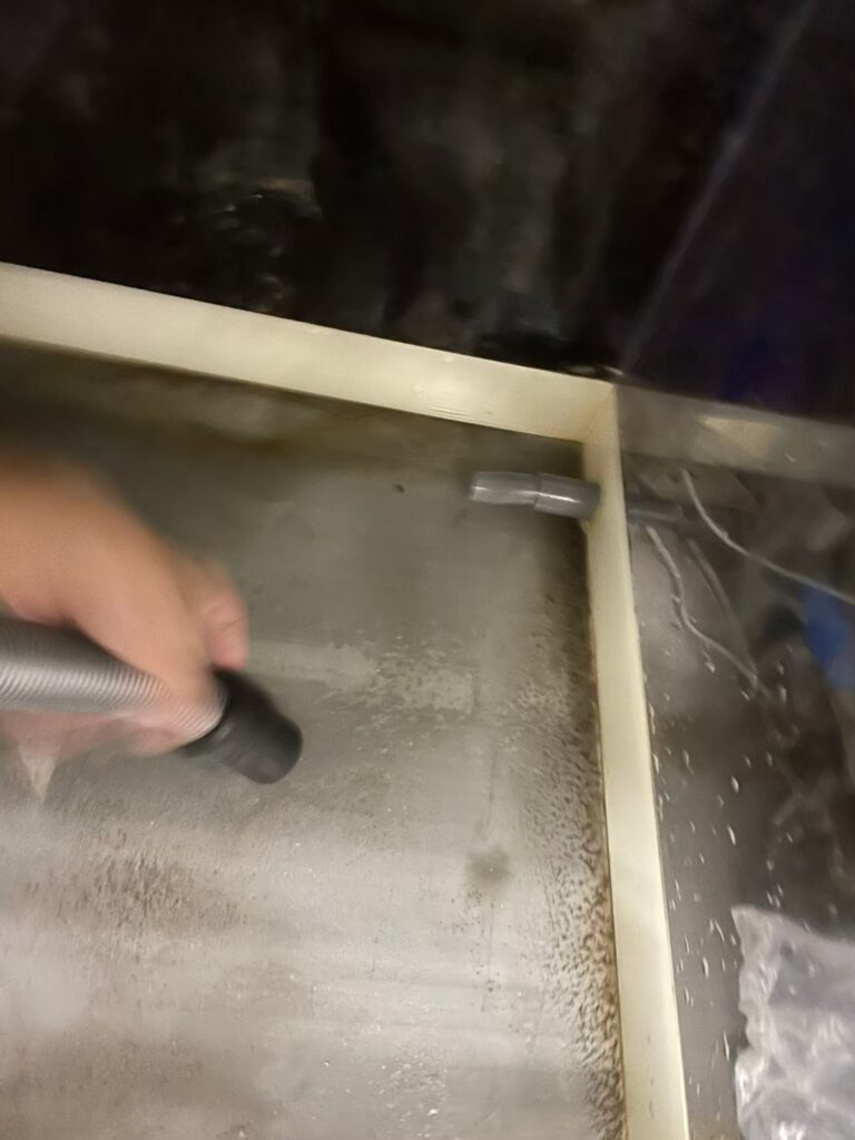 千葉県　活魚水槽　メンテナンスC9.jpg