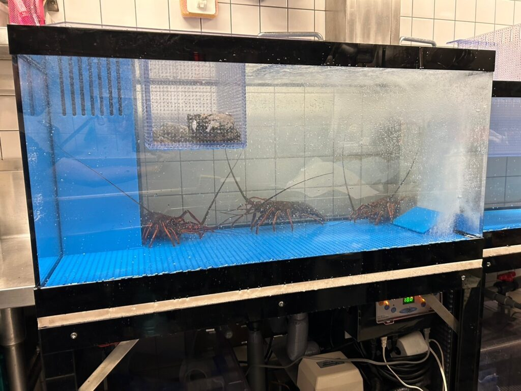 吊り型エビカゴ【活魚水槽オプション製品】6.png