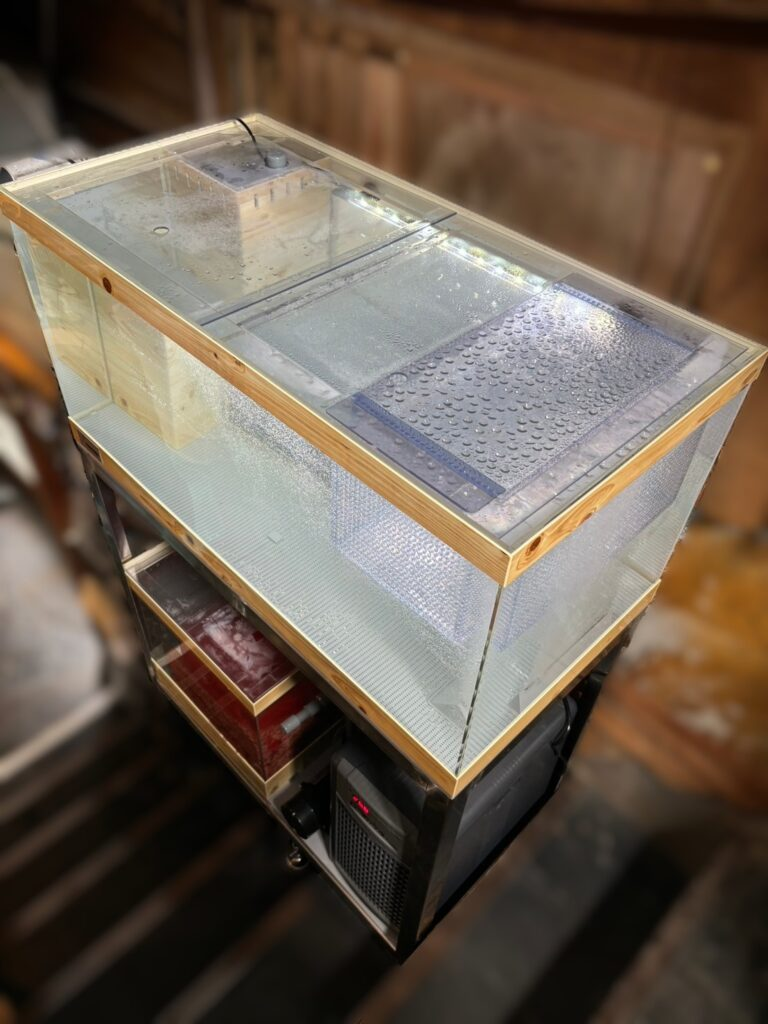 吊り型エビカゴ【活魚水槽オプション製品】7.png