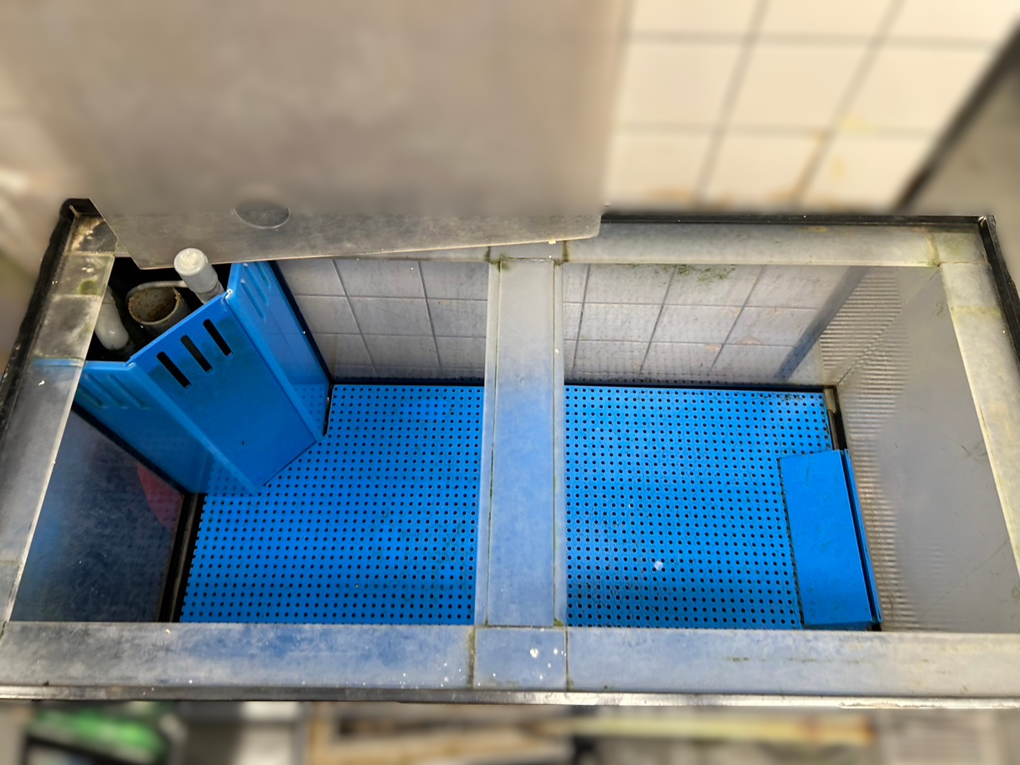 大阪府 活魚水槽 2台 入替作業2.png