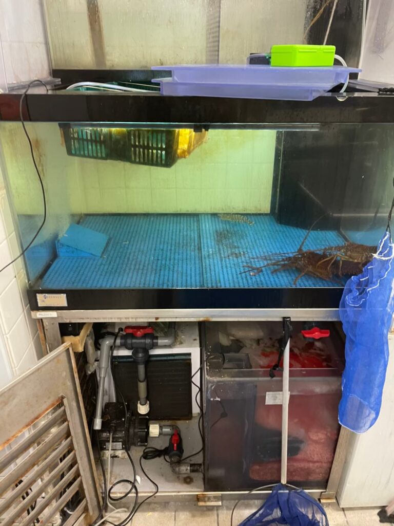 東京都 ホテル厨房 活魚水槽 メンテナンス1.jpg
