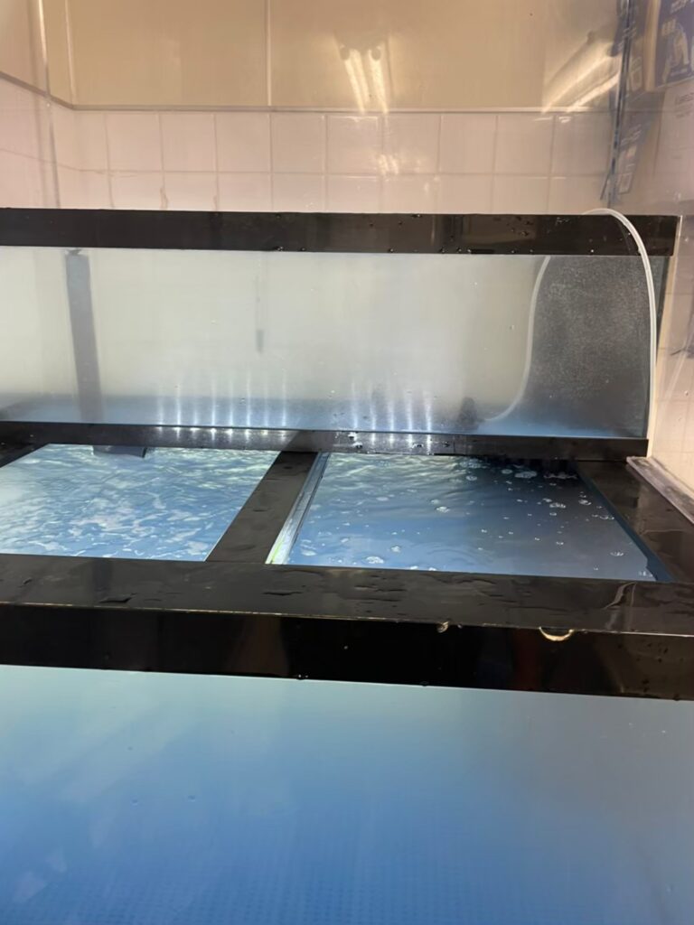 東京都 ホテル厨房 活魚水槽 メンテナンス10.jpg