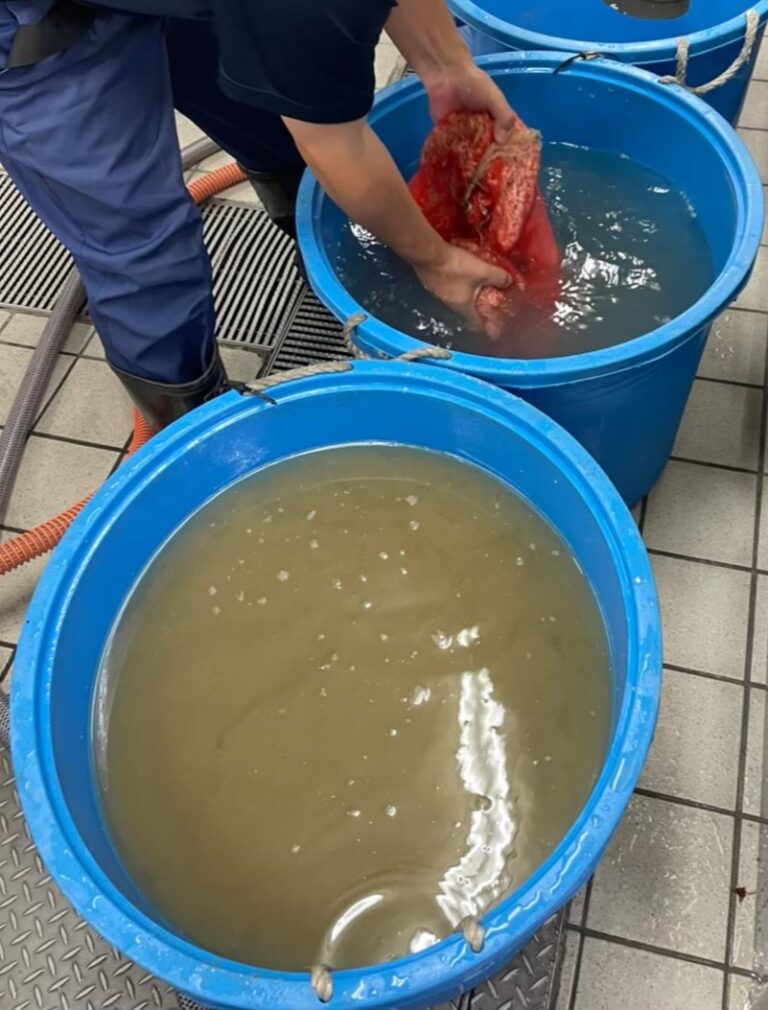 東京都 ホテル厨房 活魚水槽 メンテナンス3.jpg