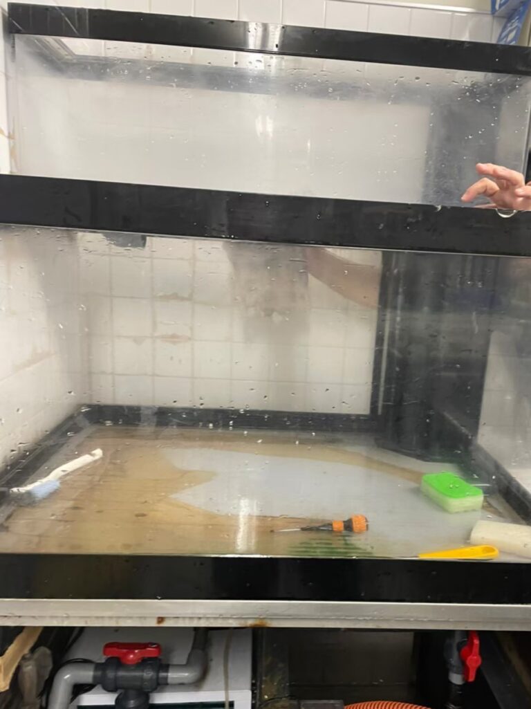 東京都 ホテル厨房 活魚水槽 メンテナンス5.jpg