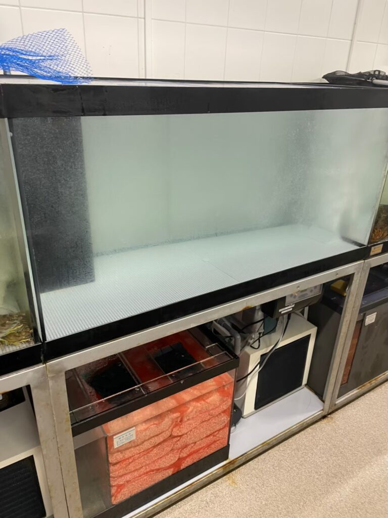 東京都　ホテル厨房　活魚水槽　メンテナンスB10.jpg