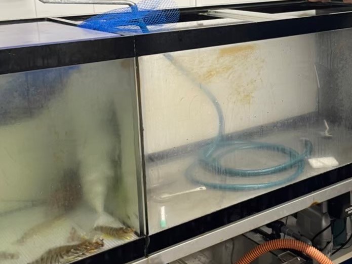 東京都　ホテル厨房　活魚水槽　メンテナンスB2.jpg