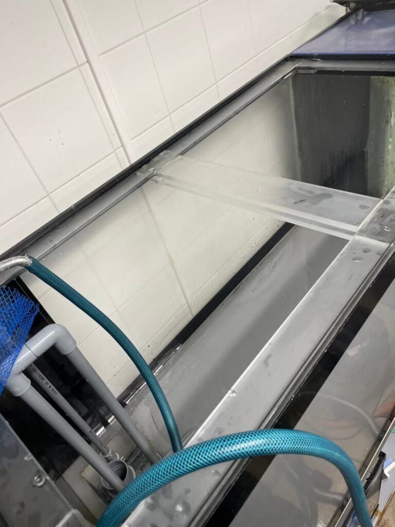 東京都　ホテル厨房　活魚水槽　メンテナンスB4.jpg