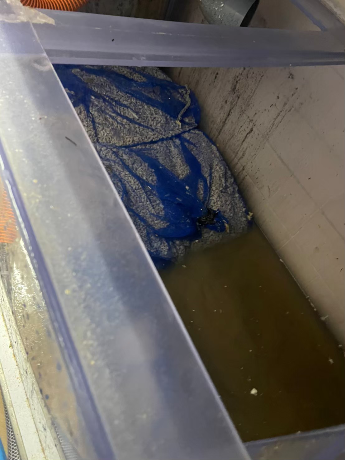 東京都　活魚水槽　メンテナンス5.jpg