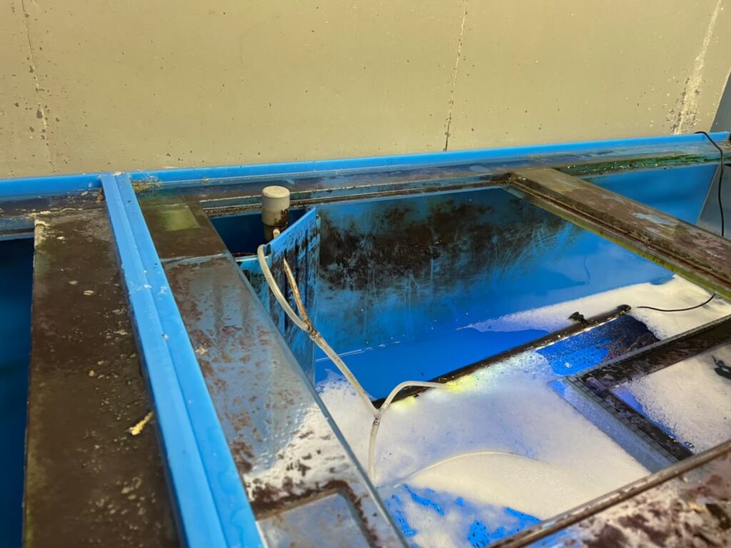 東京都 活魚水槽 メンテナンスB1.jpg