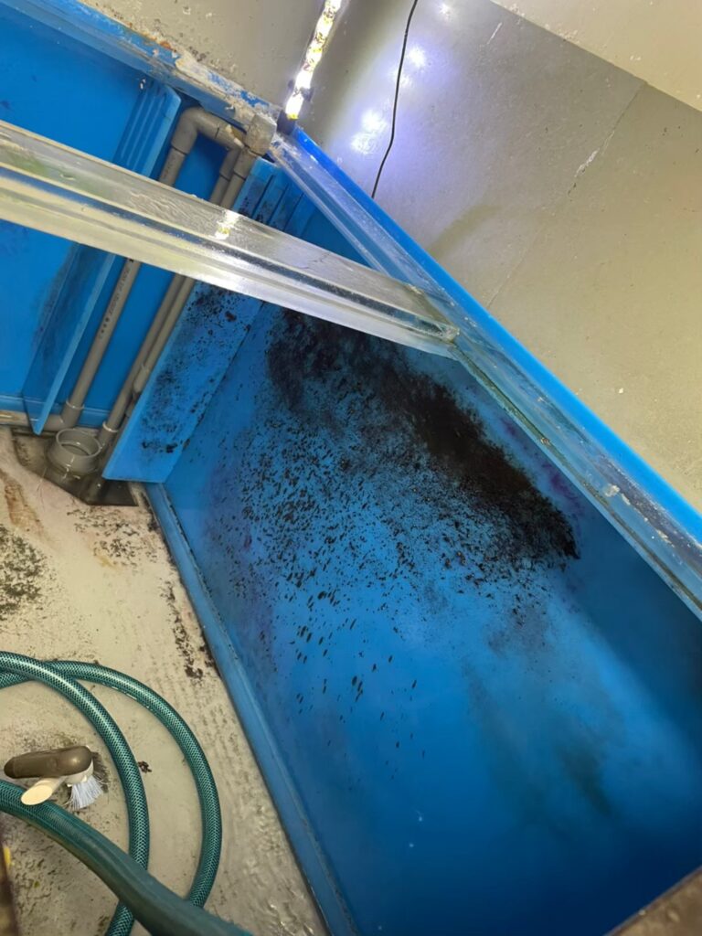 東京都 活魚水槽 メンテナンスB6.jpg