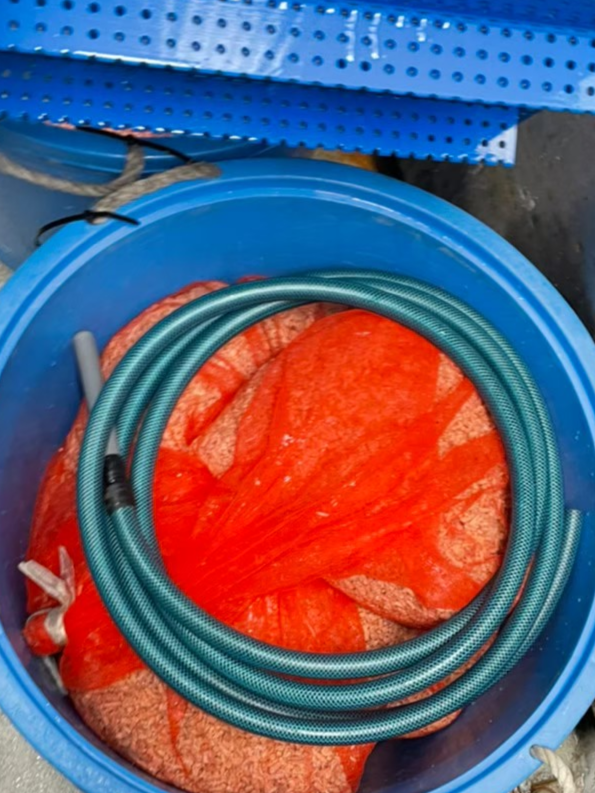 東京都 活魚水槽 メンテナンスB7.png