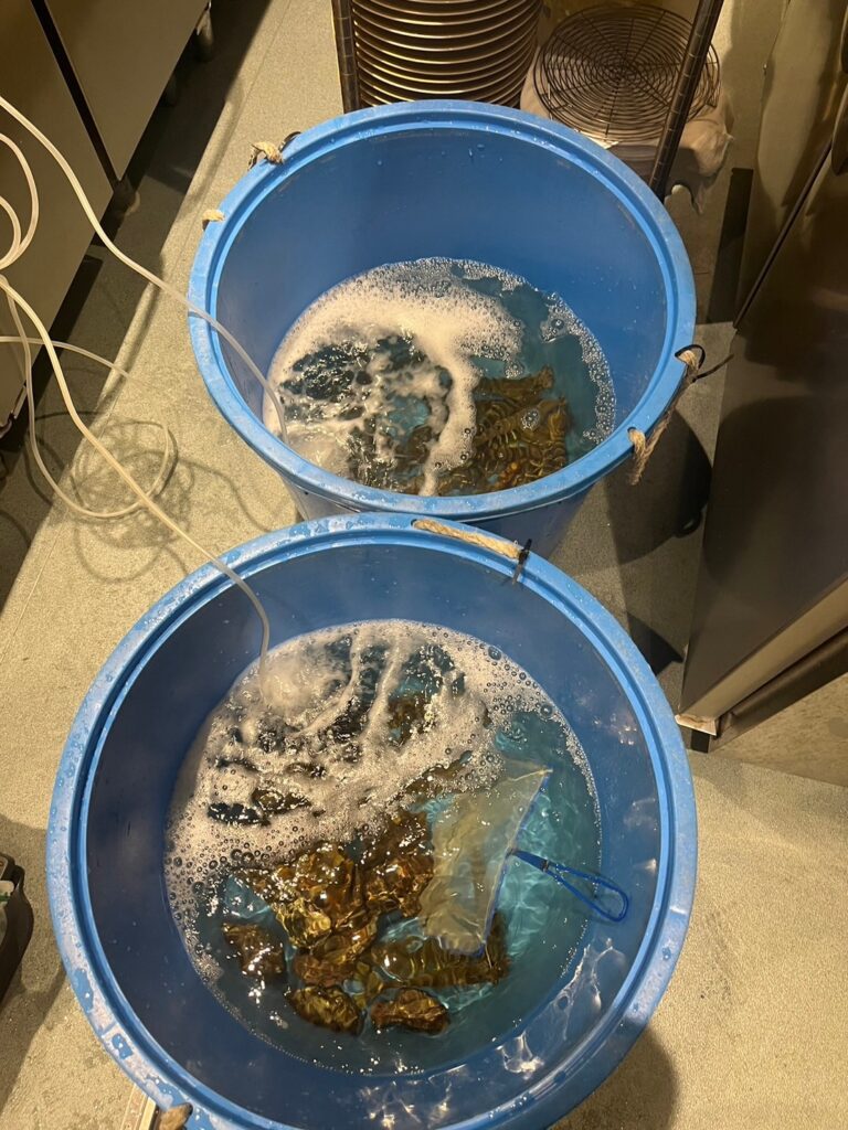 東京都 活魚水槽 メンテナンスC3.jpg
