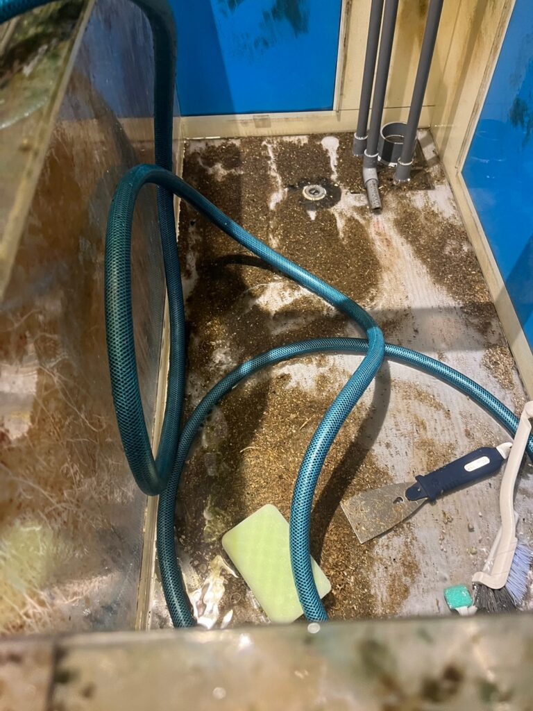 東京都 活魚水槽 メンテナンスC4.jpg