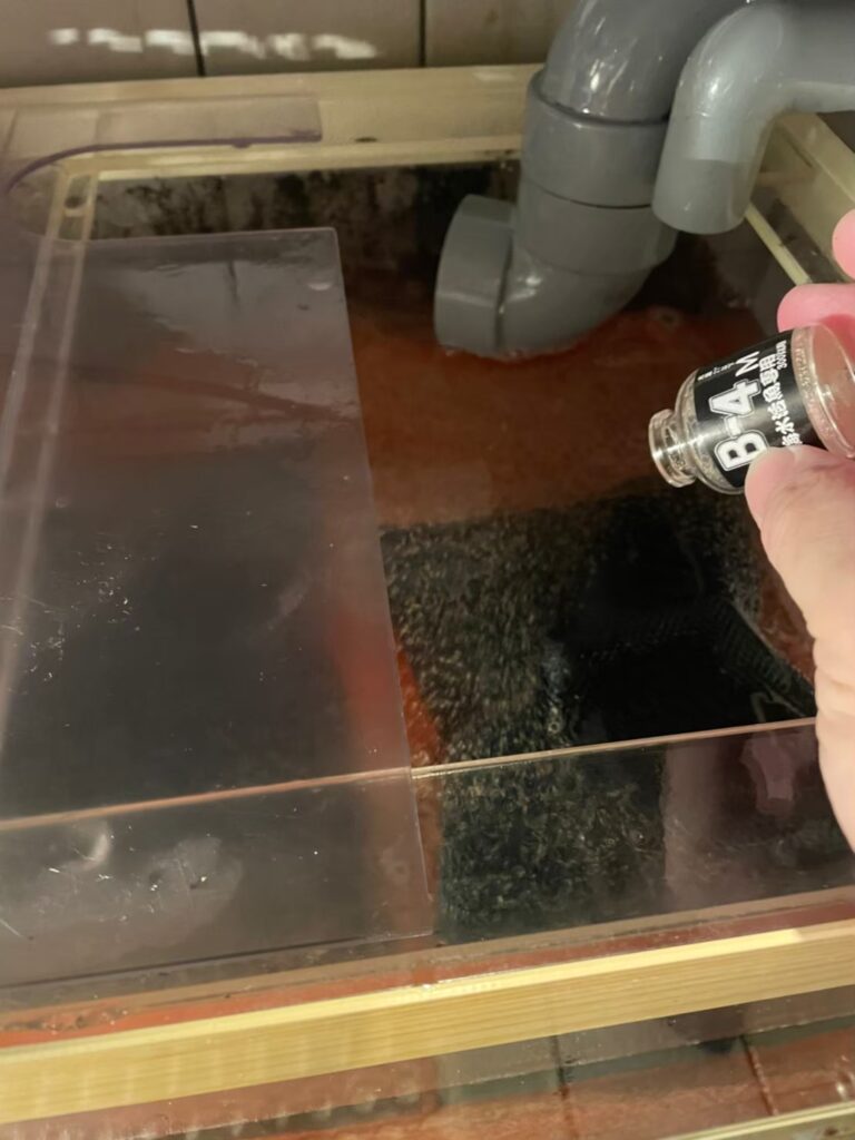 東京都　活魚水槽　メンテナンスD5.jpg