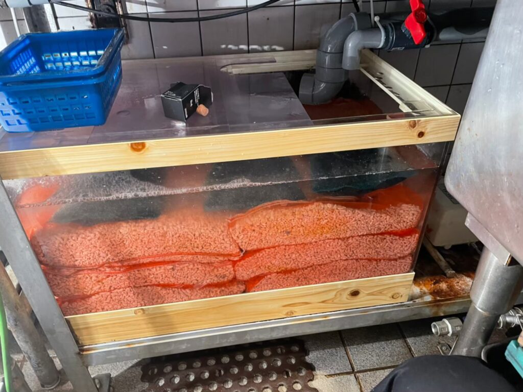 東京都　活魚水槽　メンテナンスD7.jpg