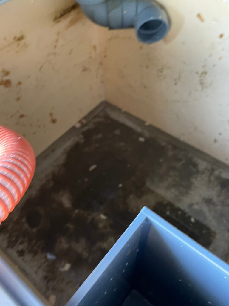 東京都 飲食店 活魚水槽 メンテナンス2.jpg