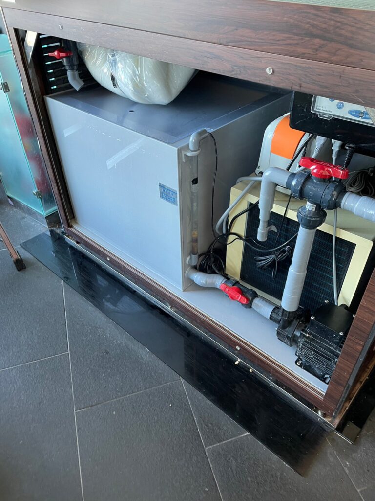 東京都 飲食店 活魚水槽 メンテナンス7.jpg