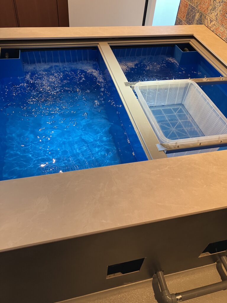 横浜　スペイン料理店　新規導入　特注水槽1.jpg