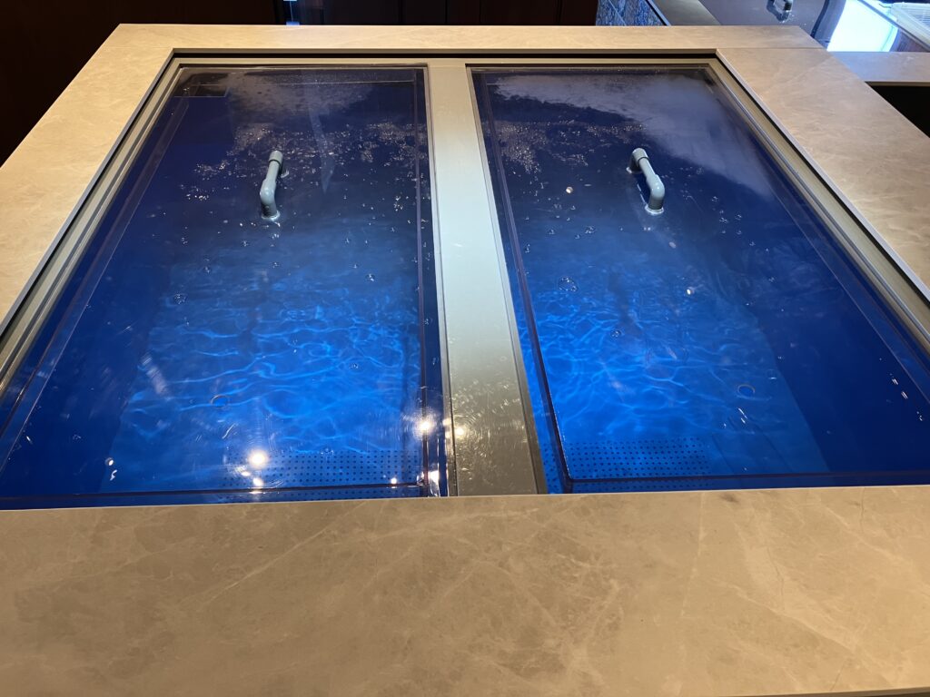横浜　スペイン料理店　新規導入　特注水槽2.jpg
