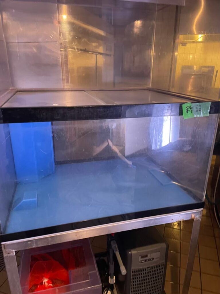 横浜　ホテル厨房　活魚水槽　メンテナンス13.jpg