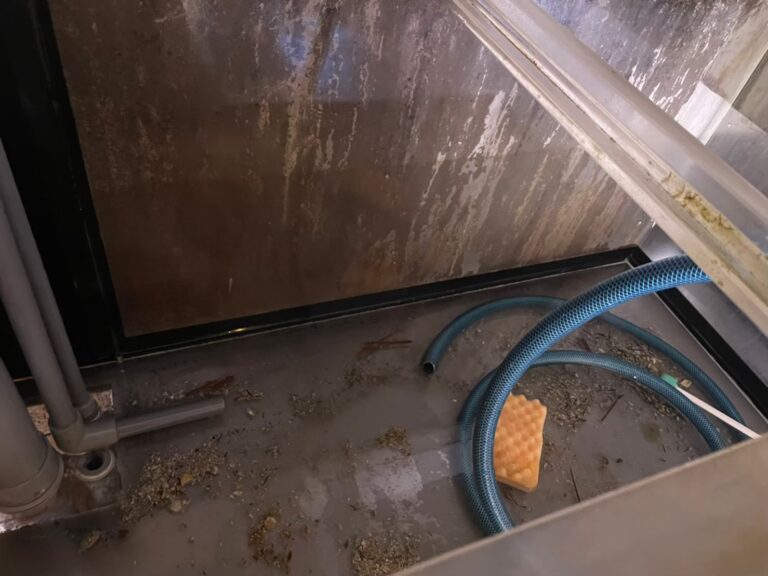 横浜　ホテル厨房　活魚水槽　メンテナンス3.jpg
