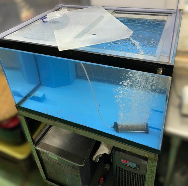横浜　ホテル厨房　活魚水槽　メンテナンスB1.jpg