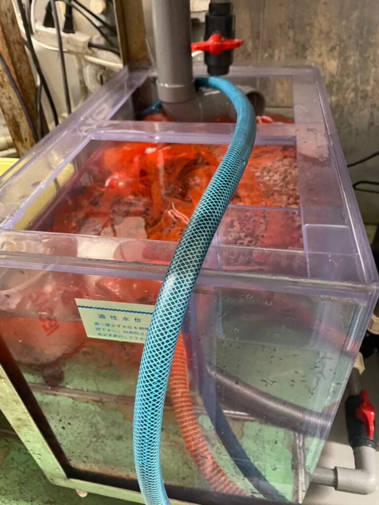 横浜　ホテル厨房　活魚水槽　メンテナンスB10.jpg