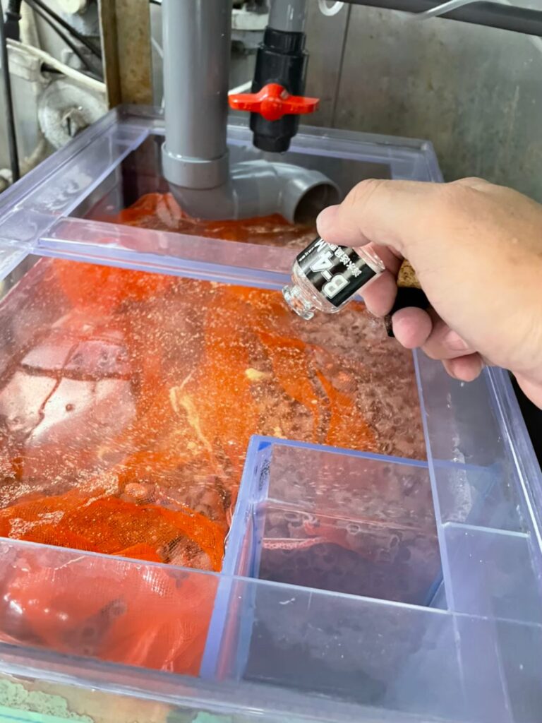 横浜　ホテル厨房　活魚水槽　メンテナンスB12.jpg
