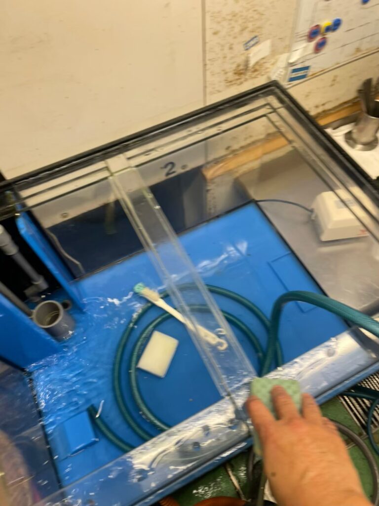 横浜　ホテル厨房　活魚水槽　メンテナンスB3.jpg