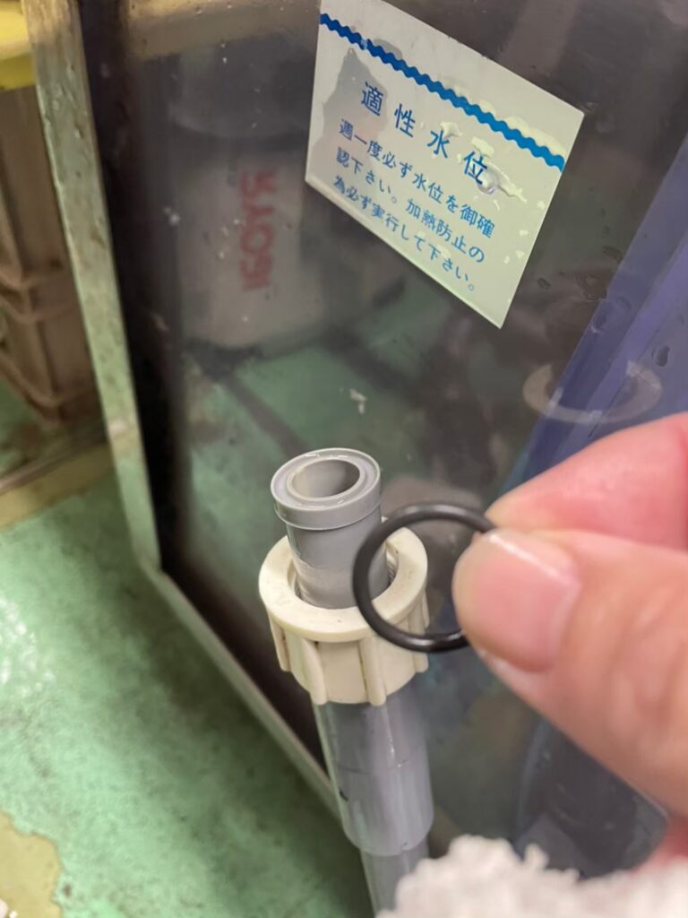 横浜　ホテル厨房　活魚水槽　メンテナンスB4.jpg