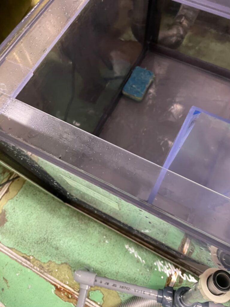横浜　ホテル厨房　活魚水槽　メンテナンスB7.jpg