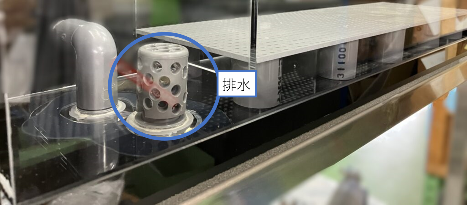潮 えび蔵くん 架台タイプ 新規導入 活魚水槽7.jpg