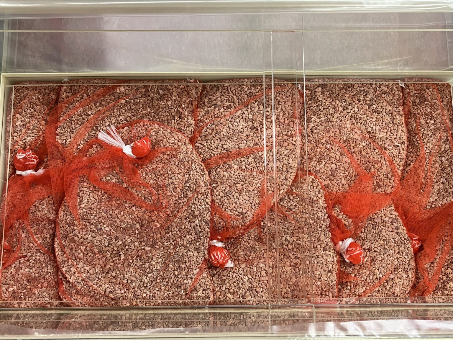 潮1型 新規導入 活魚水槽 3.jpg