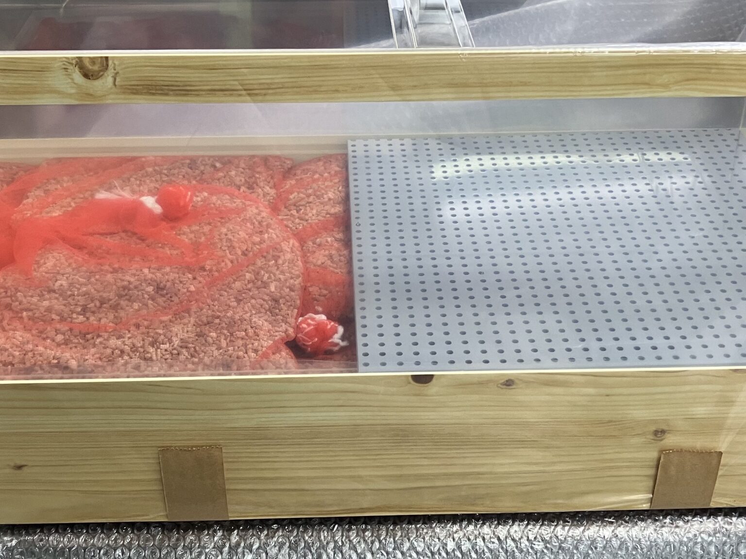 潮1型 新規導入 活魚水槽 4.jpg