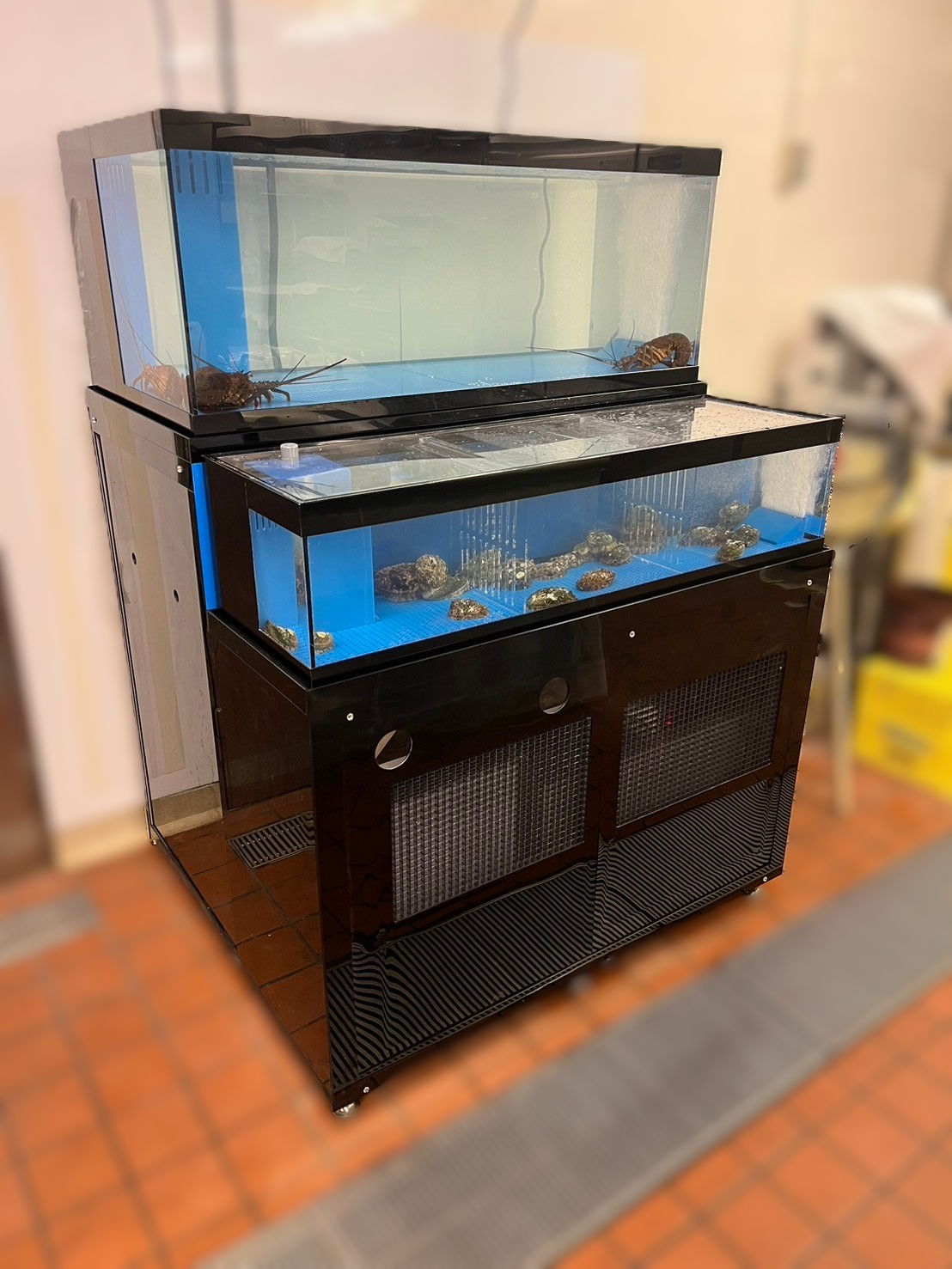 潮1200ZW 新規導入 活魚水槽 | 水槽設置・メンテナンス施工ブログ