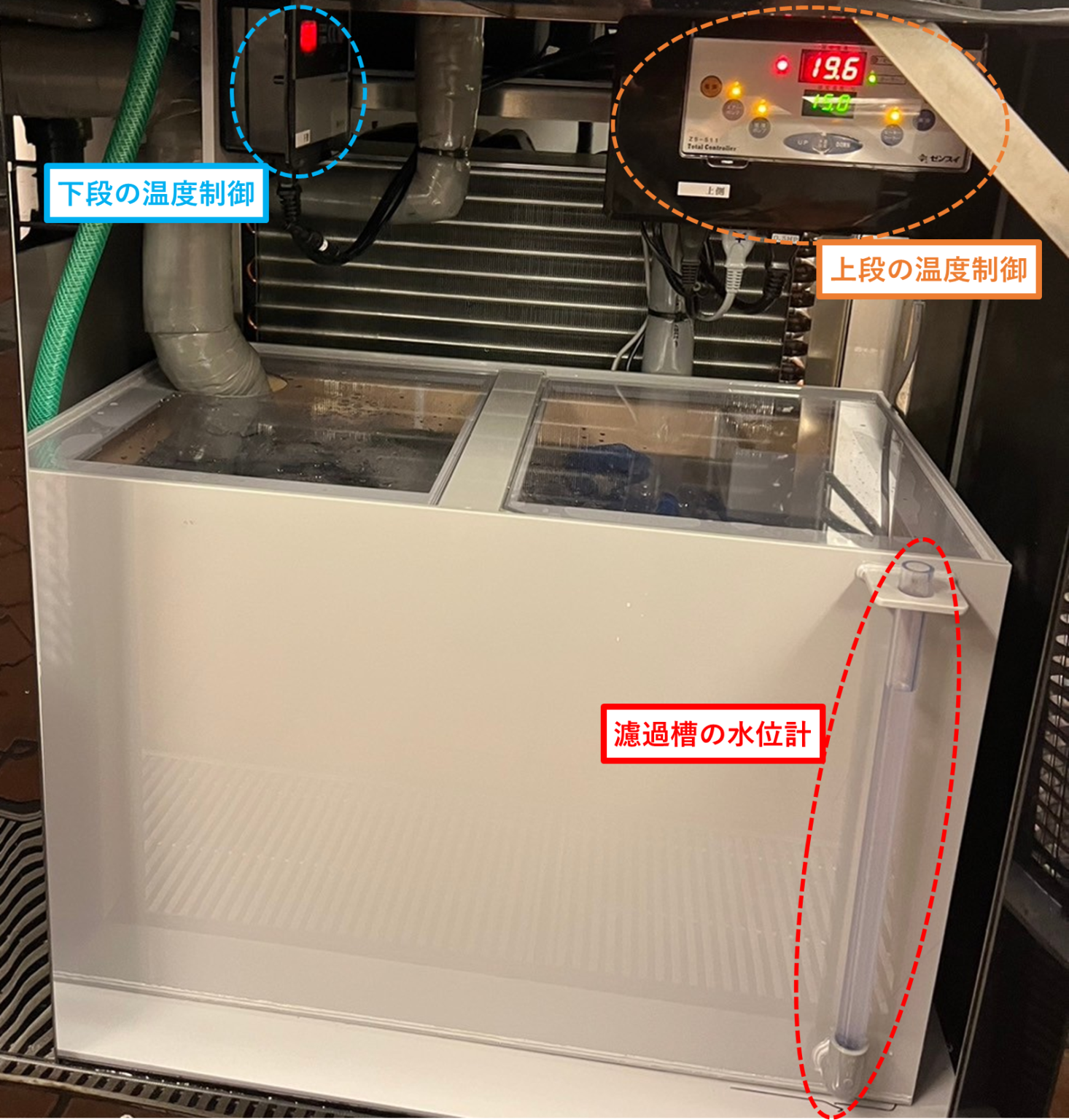 潮1200ZW　新規導入　活魚水槽2.png