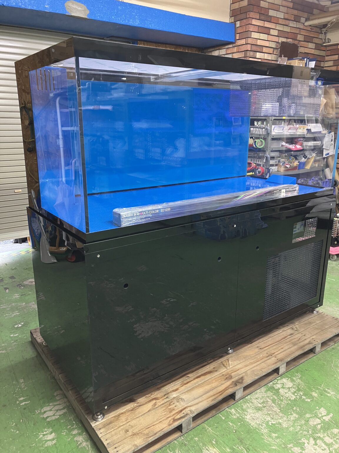 潮1800ZD 3面化粧 新規 活魚水槽3.jpg