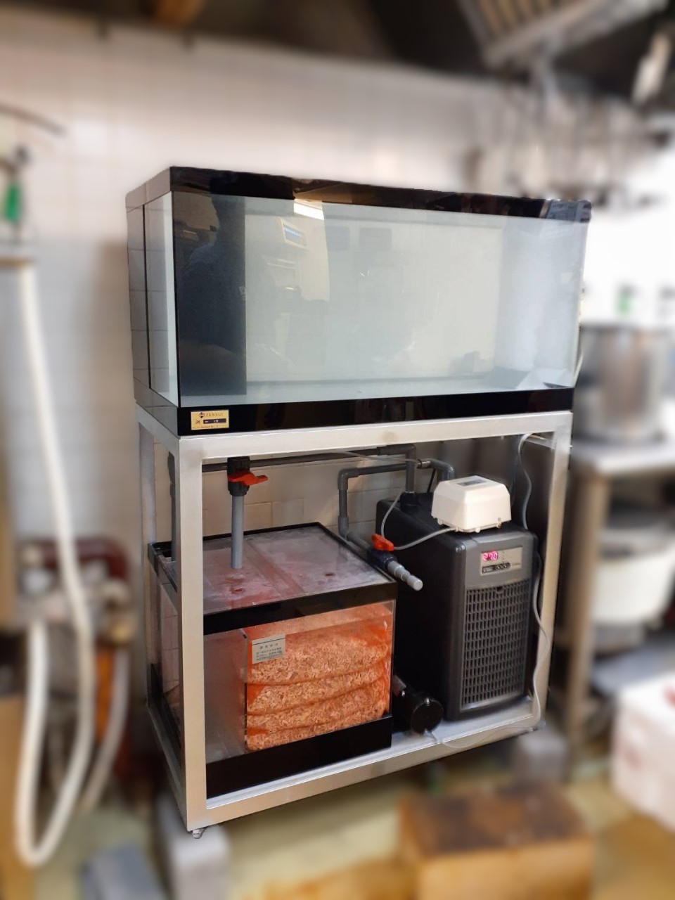 潮2型 新規導入 活魚水槽2.jpg