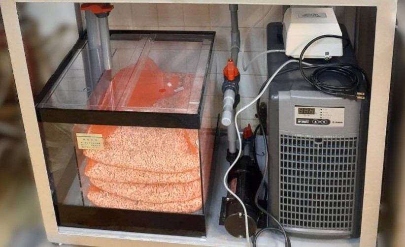 潮2型 新規導入 活魚水槽3.jpg