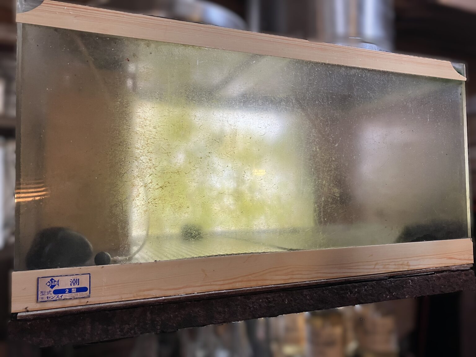 潮2型 架台特注 新規入替 活魚水槽2.jpeg